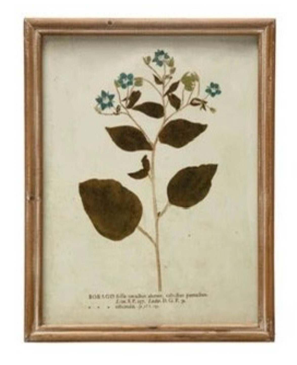 Wood Framed Glass Wall Décor w/ Botanical, Multi Color
