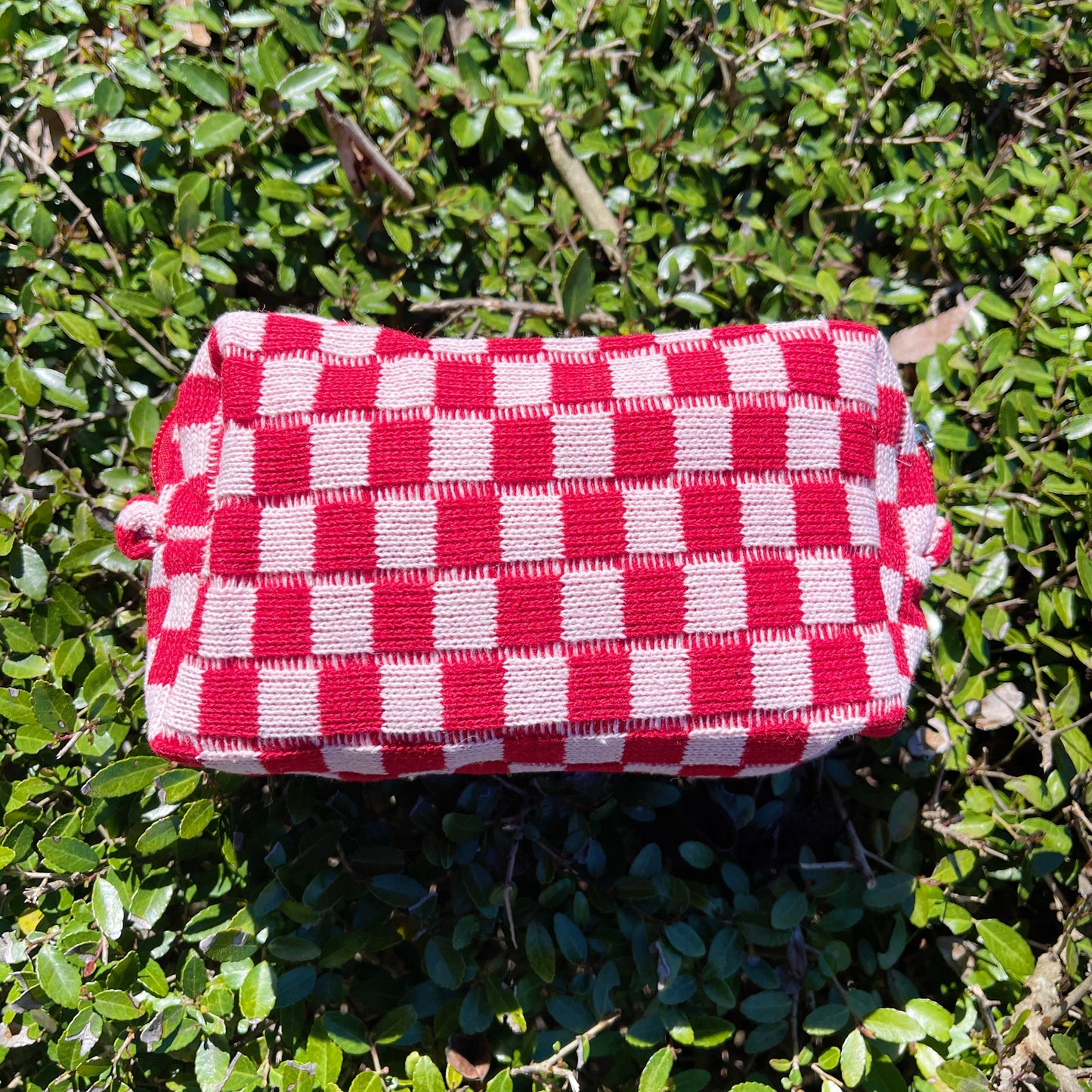Check Yourself Cosmetic Bag - Aaria Tees Aaria Tees