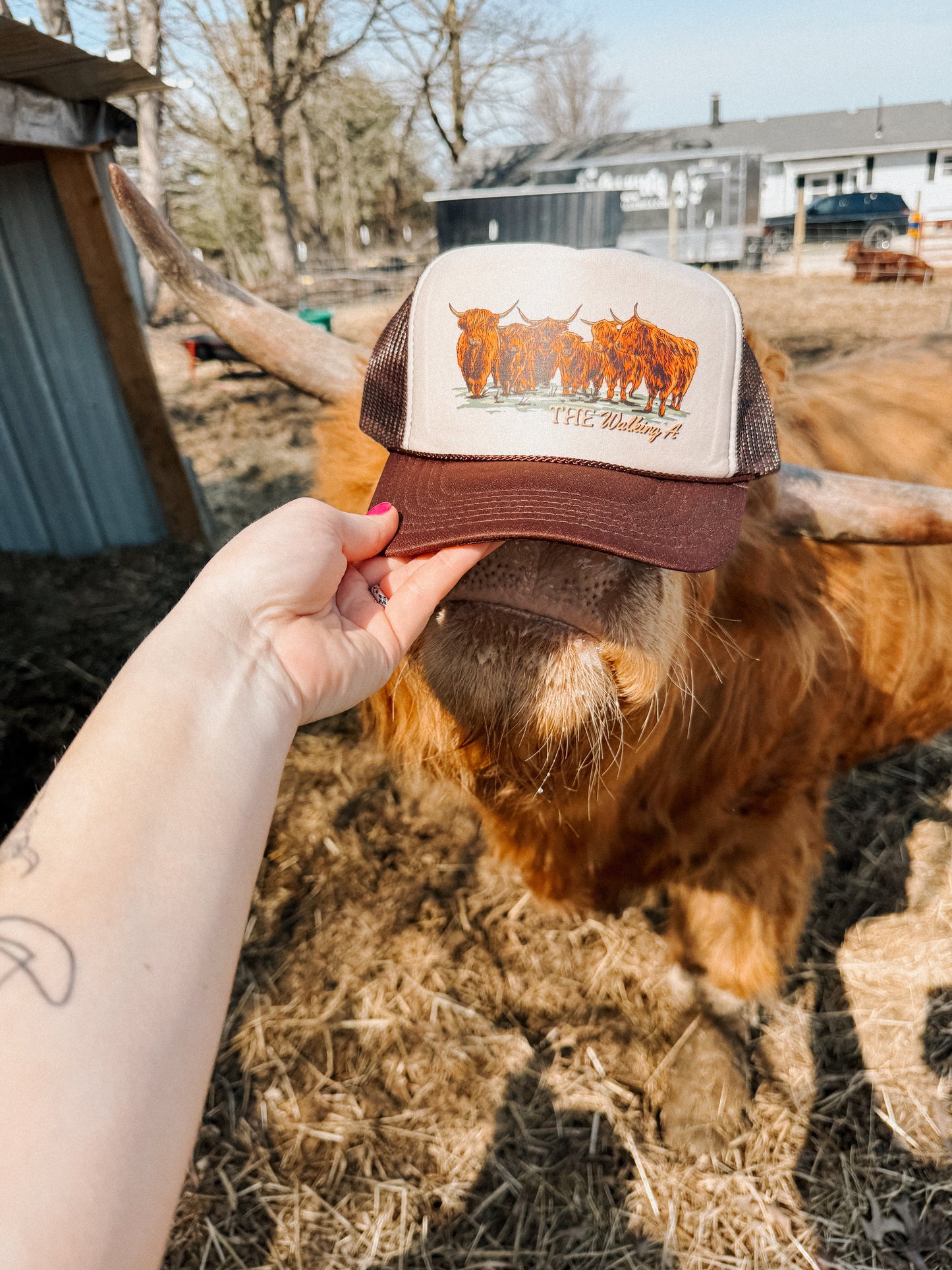 LAZY HIGHLAND CAP
