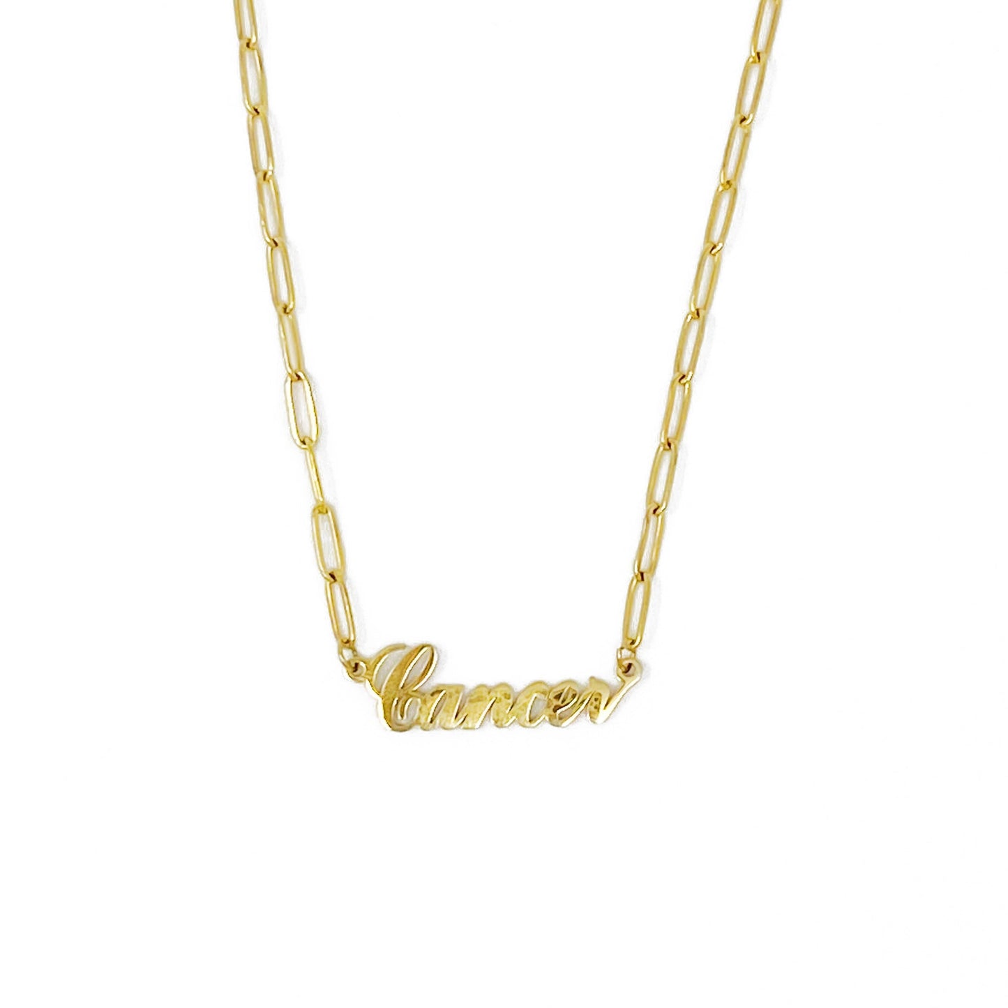 Annie Zodiac Chain Necklace - Aaria Tees