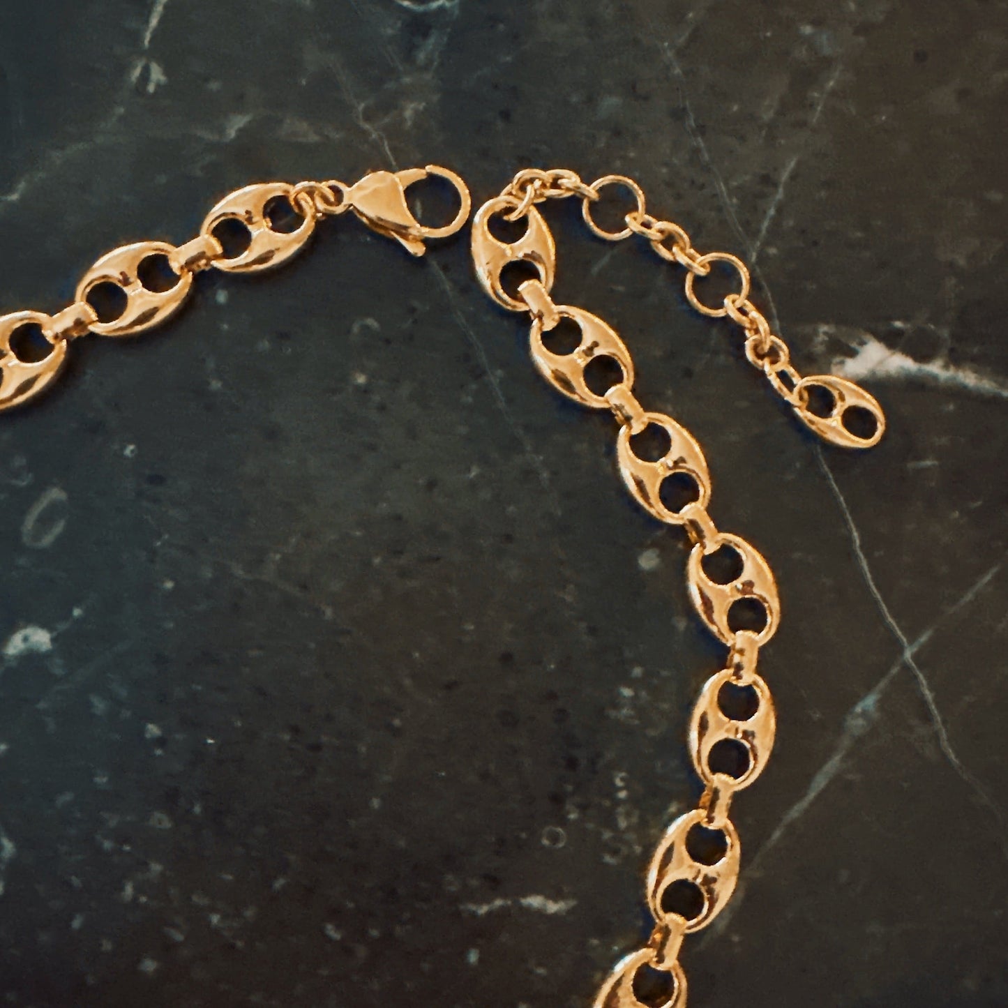 Equine Links Chain Necklace - Aaria Tees