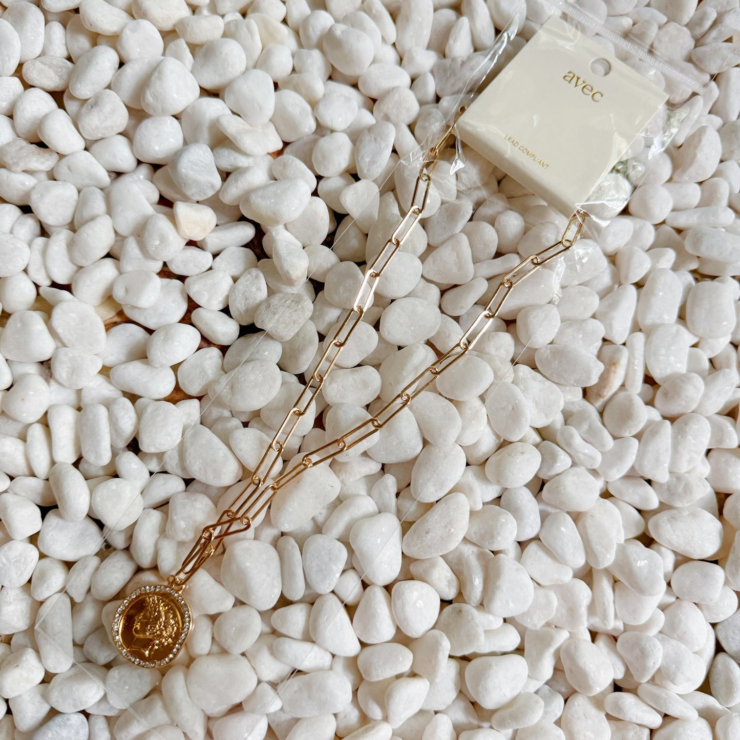 Glam Edge Coin Link Chain Necklace - Aaria Tees
