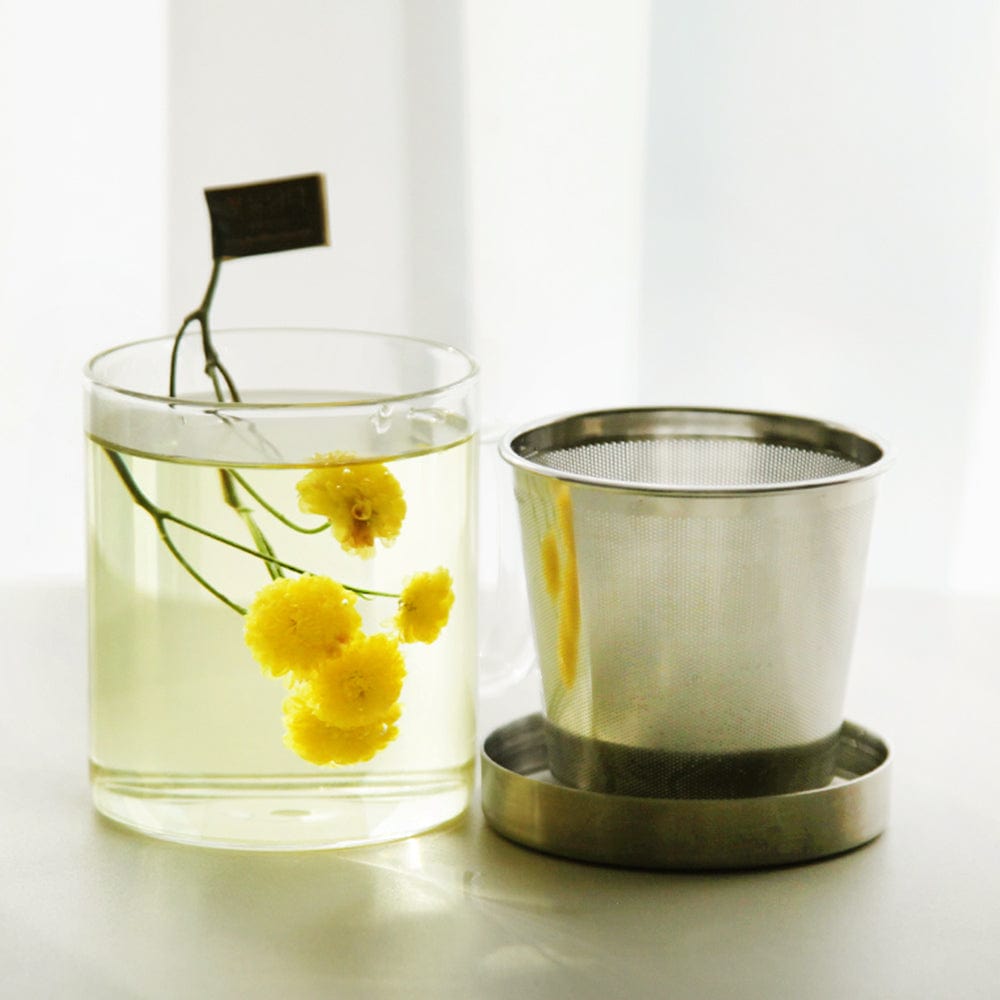Glass Tea Mug with Stainless Steel Infuser (350ml) - Aaria Tees