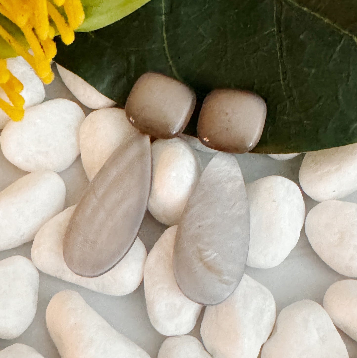 Pastel Breeze Double Stone Earrings - Aaria Tees
