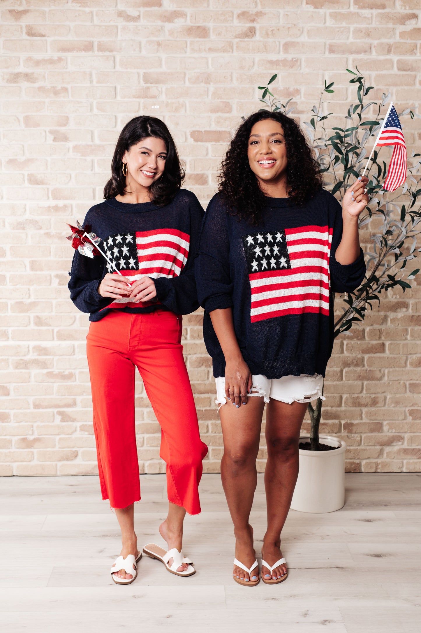 Oh Say Can You See Lightweight Pullover (Online Exclusive)