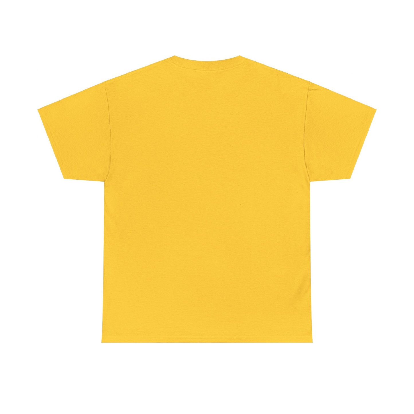Cat Shelter Unisex Heavy Cotton Tee