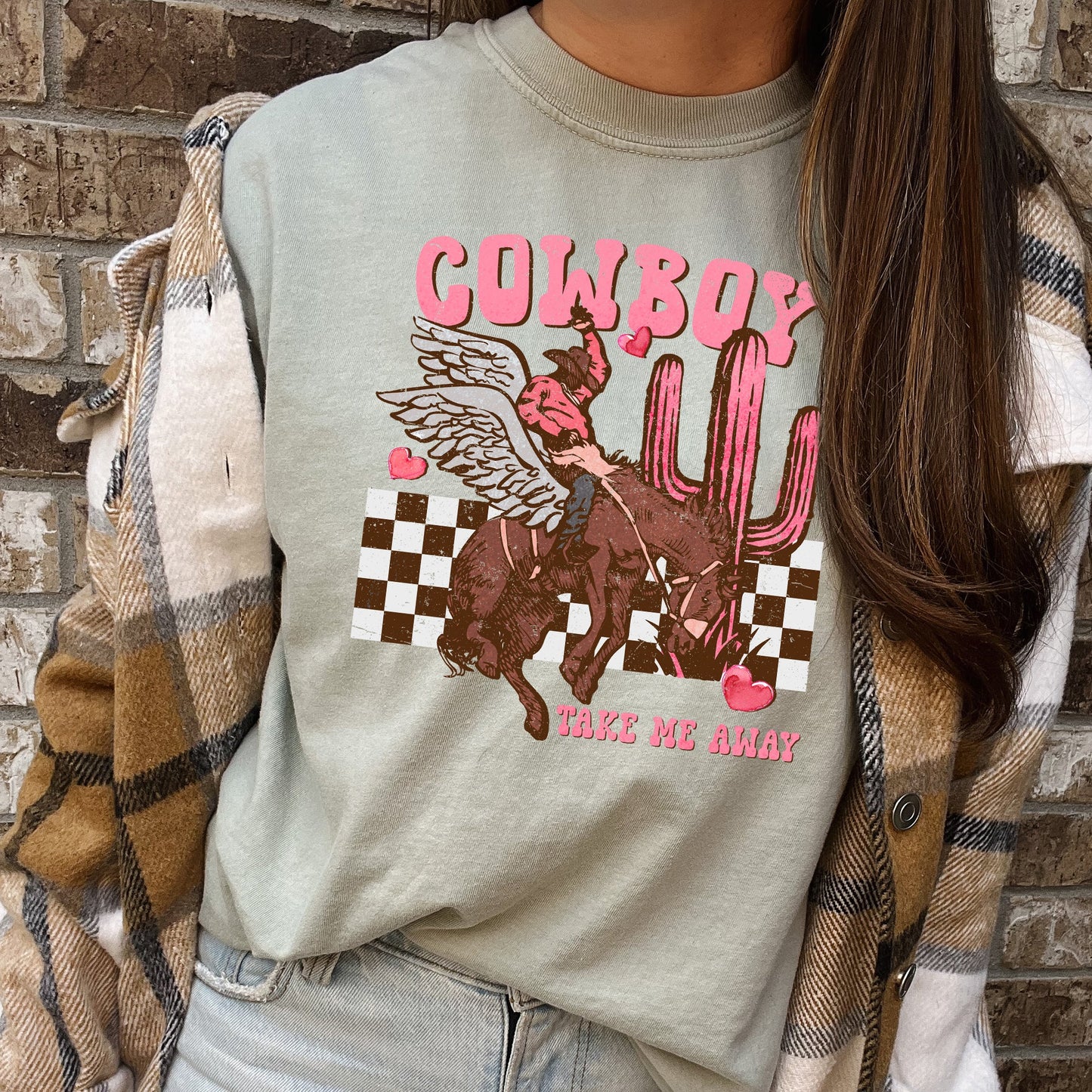 Cowboy Take Me Away, Western, Country, Comfort Colors Tshirt, Valentine's Day
