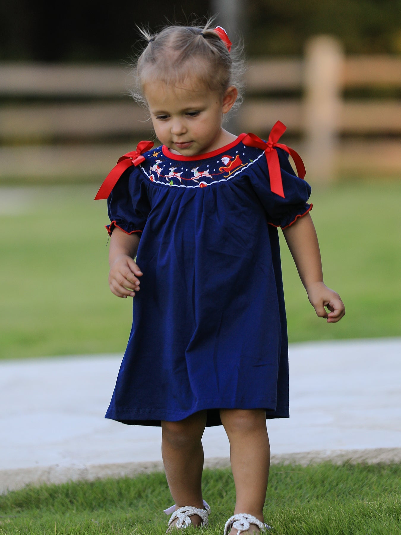 Christmas  Holiday Celebration Dress: Navy with Santa Sleigh