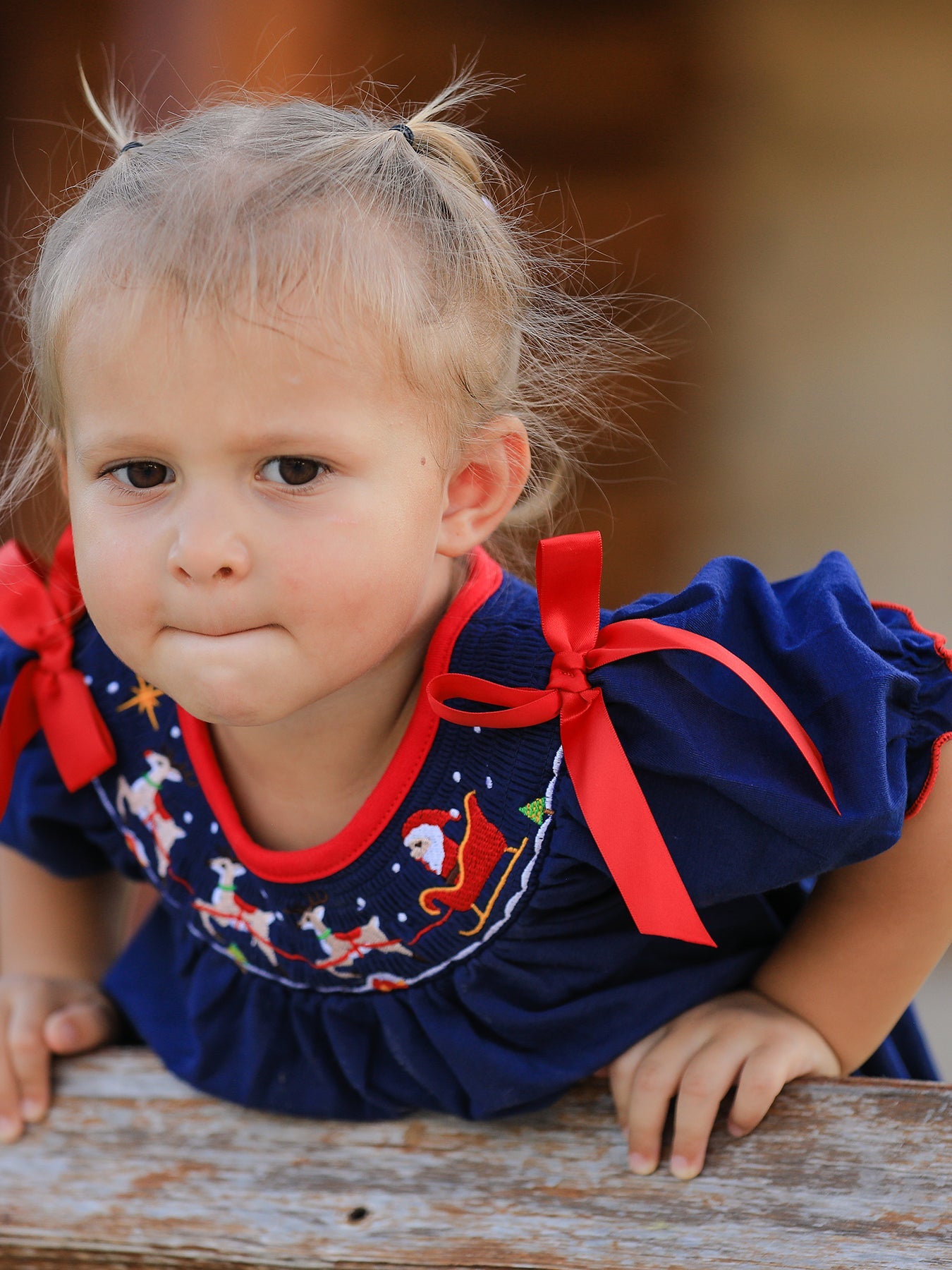 Christmas  Holiday Celebration Dress: Navy with Santa Sleigh