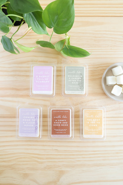 The Best is Yet to Come Wax Melt