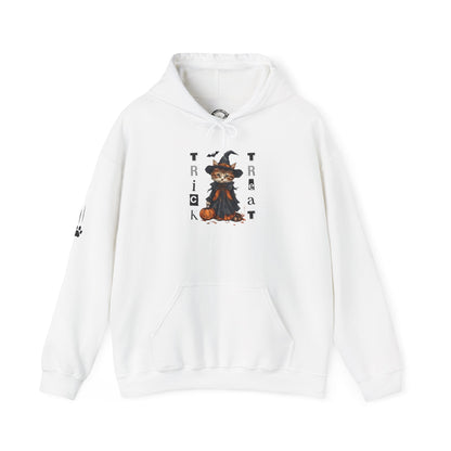 Cozy Halloween Witchy Cat Hoodie