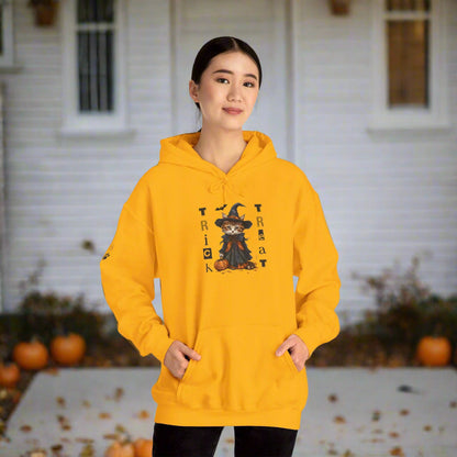 Cozy Halloween Witchy Cat Hoodie