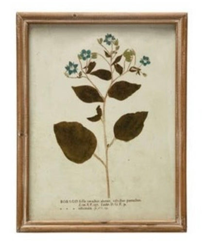 Wood Framed Glass Wall Décor w/ Botanical, Multi Color