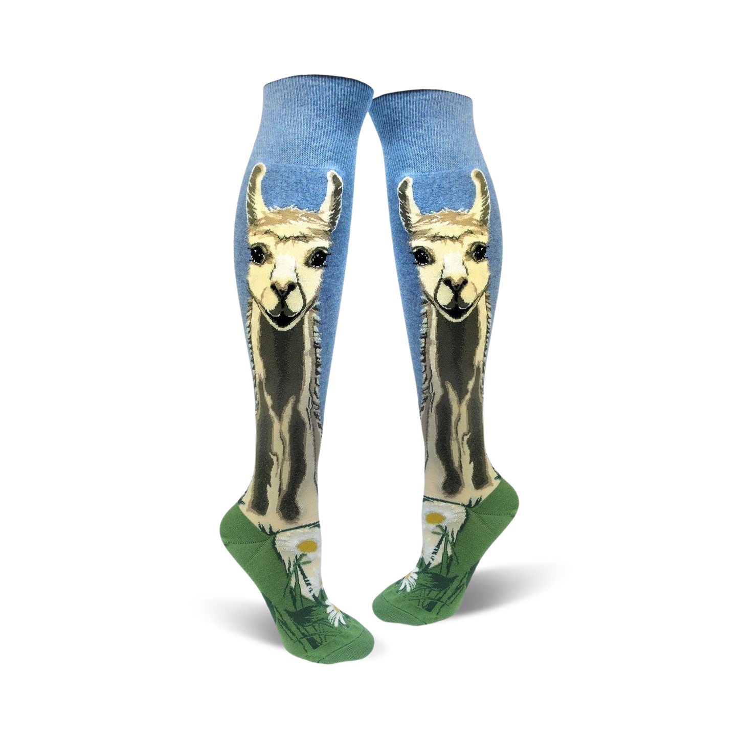 Llovely Llama Roll Top