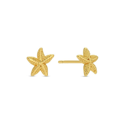 Starfish Studs On Velvet Gift Tag