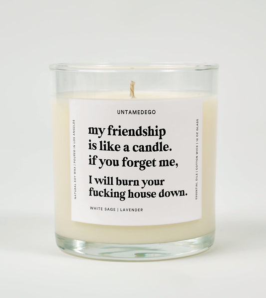 My Friendship Is Like a Candle | Funny Best Friend Candle