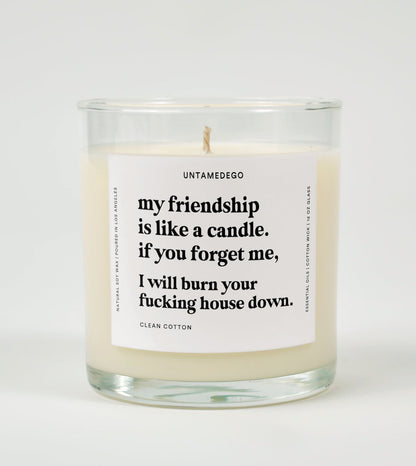 My Friendship Is Like a Candle | Funny Best Friend Candle