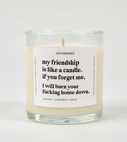My Friendship Is Like a Candle | Funny Best Friend Candle