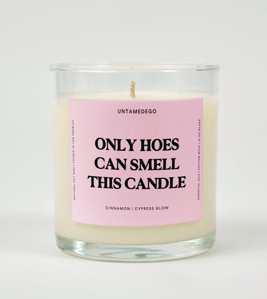 Only Hoes Can Smell This Candle | Funny Candle