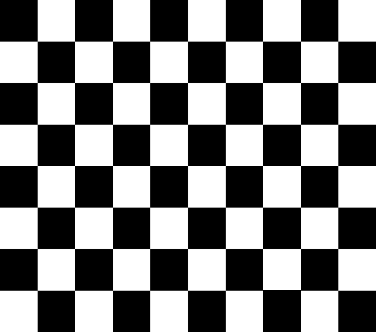 Classic Bold Checkered 4-in-1 Can Cooler Cup