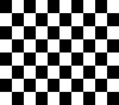 Classic Bold Checkered 4-in-1 Can Cooler Cup