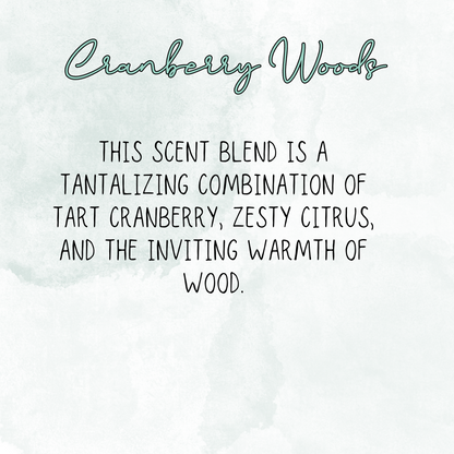 Classic Santa Claus Car Freshener