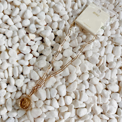 Glam Edge Coin Link Chain Necklace - Aaria Tees