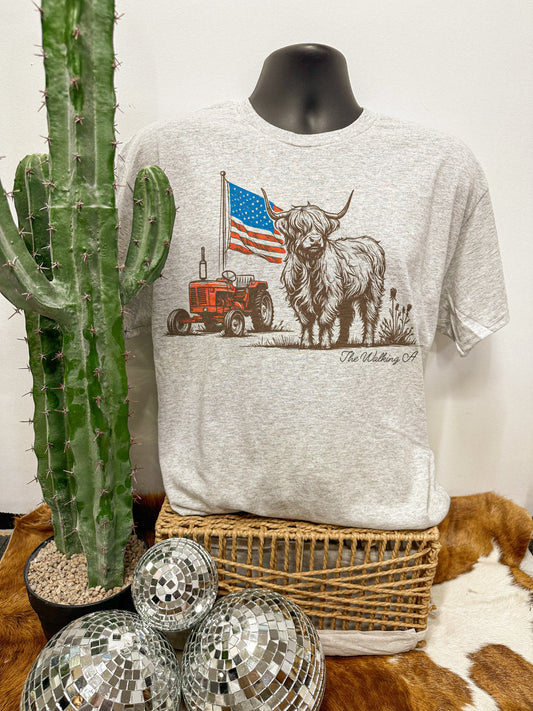 AMERICAN HIGHLAND