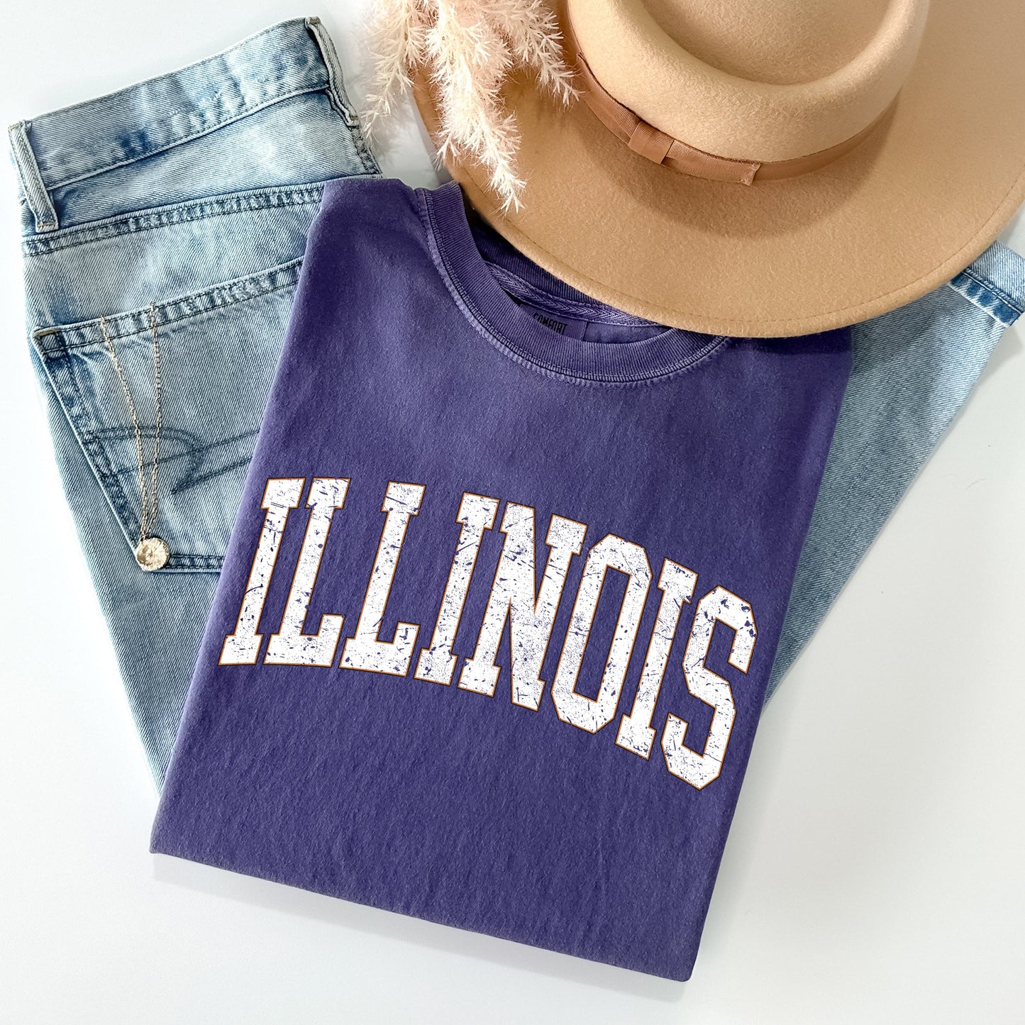 Illinois, Football, Sports, Game Day, Big Game, Touchdown, Tailgate Party, University, College, State Tshirt Comfort Colors T-Shirt