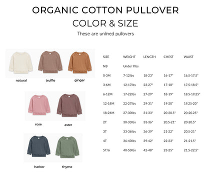 Merry Mini Matching Christmas Organic cotton Baby Toddler Pullover