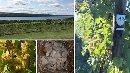 No. 10 A Hundred and Fifteen Rows - Aaria Tees