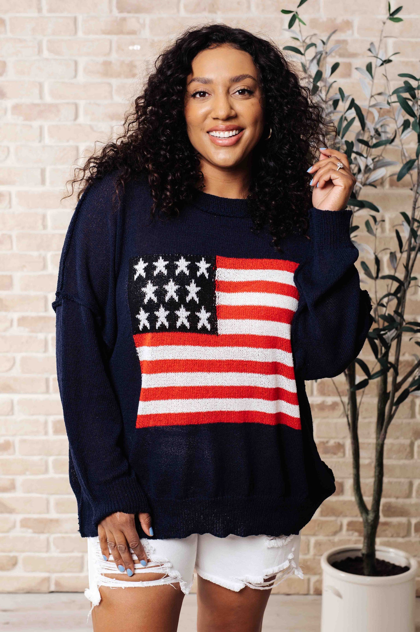 Oh Say Can You See Lightweight Pullover (Online Exclusive)