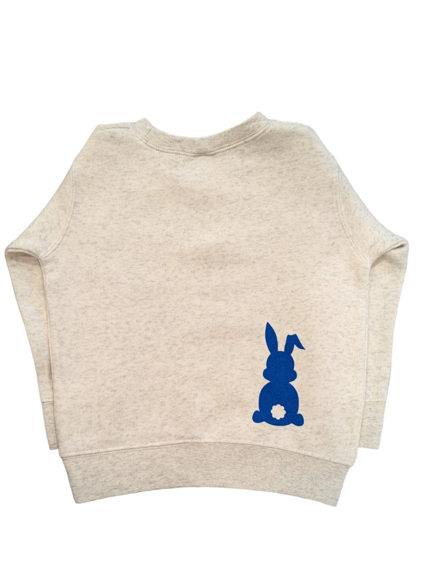 Egg Hunting Crew Pullover