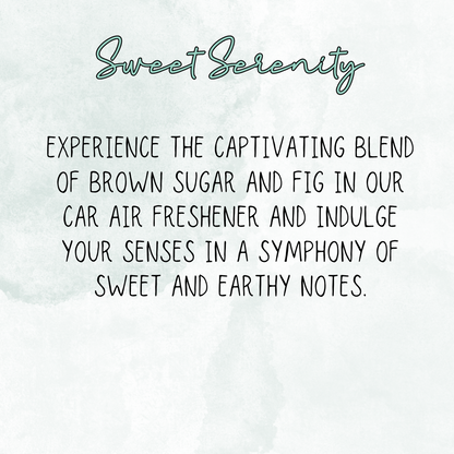 Sunshine Mixed With A Little Hurricane Re-Scentable Car Freshener