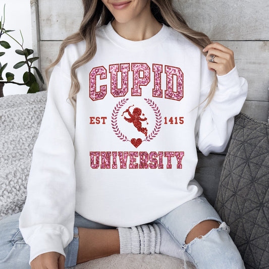 Cupid University, College, University, Love, Sweatshirt, Valentine's Day