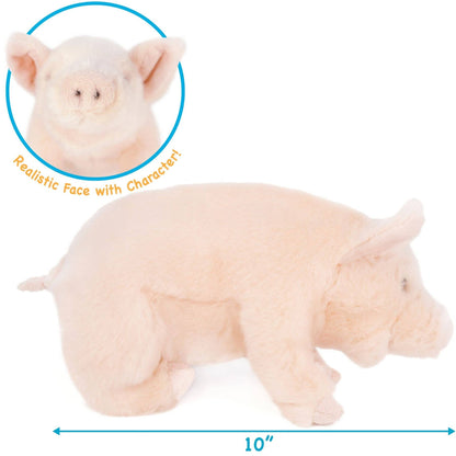 Perla The Pig | 11 Inch Stuffed Animal Plush