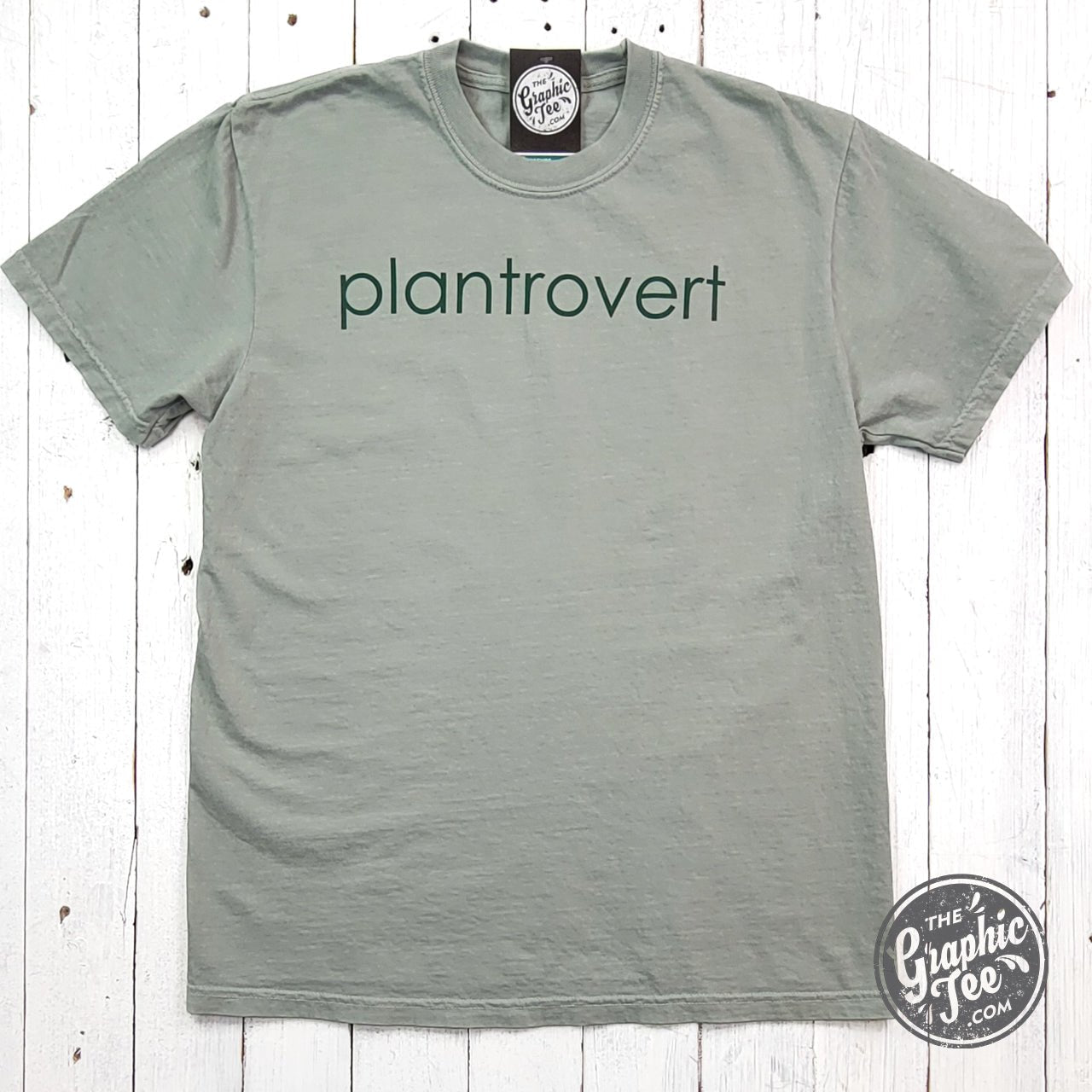 Plantrovert Round Pigment Dyed Tee