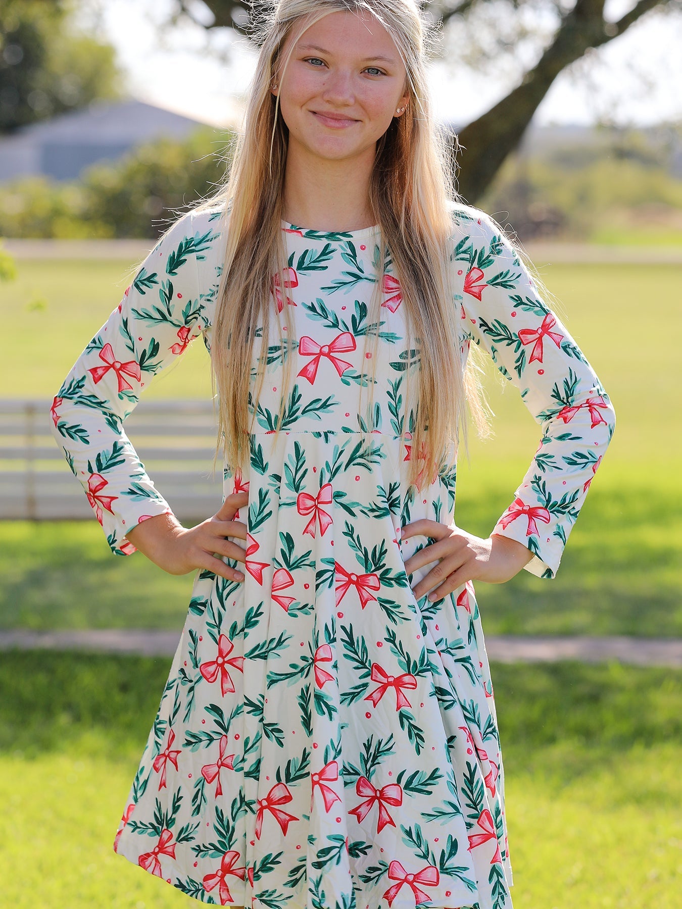 Holiday Christmas Dress with Holly