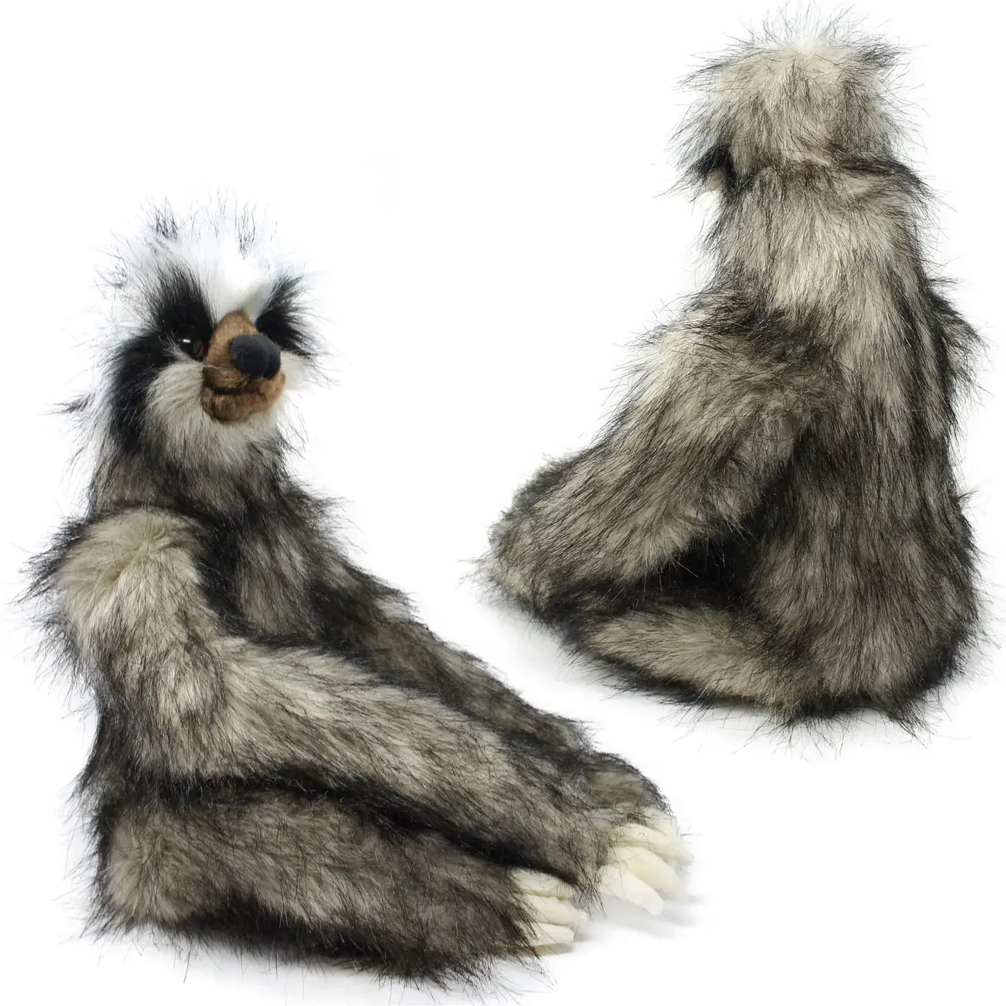 Shlomo The Three-Toed Sloth